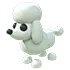 Poodle