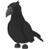 Crow