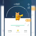 RAREST SHINY CHARIZARD HAT PIKACHU [] LEVEL 34 [] LEGENDARY 29 [] SHINY 15 [] POKEMON 251 