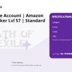 Path of Exile Account | Amazon Lvl 91, Invoker Lvl 57 | Standard League