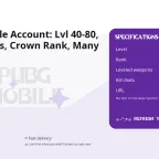 PUBG Mobile Account: Lvl 40-80, 20 Kill Chats, Crown Rank, Many Weapons