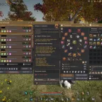Black Desert (RU): 66 Witch Account with 807 GS, Van Gear, and Tent
