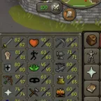 RuneScape Account | Vorki Pet, Dragon Defender