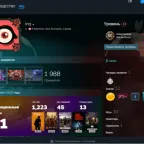 Dota 2 Account with 3338 MMR and 7 Arcanas