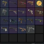 Steam Account: CS 2 Prime, +22k Inventory, Level 5, Other Region