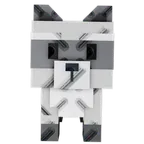 Raccoon