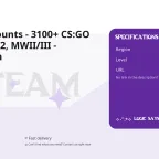 Steam Accounts - 3100+ CS:GO Hours, RDR2, MWII/III - Kazakhstan