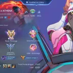 Mega Collector | 495 Skins | 1 Legend | 10 Grand | Rare Skins
