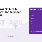 Lost Ark Account: 1730 GS Shadowhunter for Beginner Solo Content