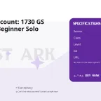 Lost Ark Account: 1730 GS Slayer for Beginner Solo Content