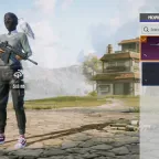 PUBG Accounts - PC, Butterfly Skin