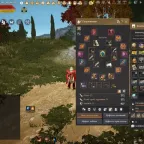 Black Desert Accounts (RU) - 800 GS, 2 Pegasus T9/T10, 1924 Luck Scrolls, 5th Fairy Vigor