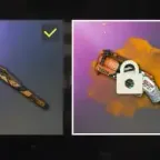 PUBG Account with exclusive skins and BATTLEGROUNDS Plus
