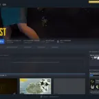 Multi-Game Steam Account: CS2 Prime, Dota 2 2600 MMR, GTA V, RDR2