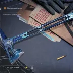 Delta Force Account - Level 60, 130 Million Currency, Operator Skins