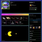 Steam Accounts - Level 20, 248 Paid Games, Prime Status