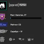 CS1585 // / Counter-Strike 2 / / / / RATING 11704 / / / / INV - 30 RUB / /