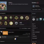 CS1207 // / / / 2800 HOURS / / / / 10 MEDALS / / / / 10 YEARS OF SERVICE / / / / FACEIT CAN REGISTRATE / / GOOD MAIN / / DESIGN /