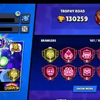 130k Trophies || 1x Prestige 3 || 2x Pro pass || 14 Brawl Pass Plus Skins || 40 Maxed || 33 Hypercharged || 344 Skins