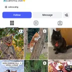 2022 Old Cat Instagram Account | Secure Transfer | OG Email |0rganic Followers |