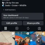 27.9K INSTAGRAM ACCOUNT LAST 30 DAYS 1B VIEWS|ORGANIC FOLLOWERS || TOP USA ACCOUNT|| OG MAIL ACCESS FULL SECURE TRANSFER