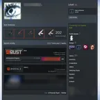 RT1019 // Rust Account / 10.000 H / Old 39-53 Twitch Drops (165 skins)
