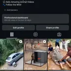 1k Jungle Instagram Account | Secure Transfer | OG Email |0rganic Followers |