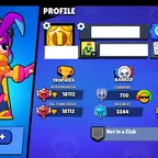135 [9 MAX BRAWLS] [90 SKINS] [18112 TROPHIES]