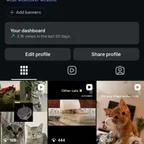 2.6k Cat Instagram Account | Secure Transfer | OG Email |0rganic Followers |