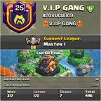 LVL 25 | Clan Name | V.I.P GANG | MASTER 1 | CAPITAL PEAK 10 | MAX 3331 UPGRADES | WAR WINS 317 | LOSS 172