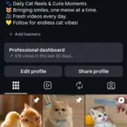 Cat Instagram Page -1.5K Followers | Secure Transfer | OG Email |0rganic Followers |
