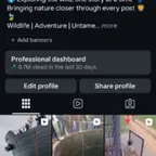 17.3k Wildlife Instagram Account | Secure Transfer | OG Email |0rganic Followers |