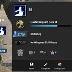 CS1321 // / Premier / / Original Email Included / / CS2 Account / / Steam lvl 10 / / 9.708 CS Rating / / Prime