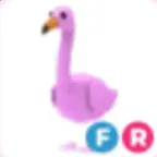 Adopt Me Account| FR Flamingo 650