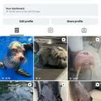 1k Wave Instagram Account | Secure Transfer | OG Email |0rganic Followers |