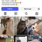 10.8K FOLLOWERS INSTAGRAM ACCOUNT || FULL ORGANIC FOLLOWERS || INCLUDING SECURE TRANSFER || ORGINAL MAIL ||