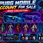 PUBG Mobile Account 🔥 4 Upgradeable Skins 🔥 M16A4 Lv3  SLR Lv3  MG3 Lv2  Vector Lv1
