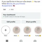 5.4k Pookie Luna Cat Instagram Account | Secure Transfer | OG Email |0rganic Followers |