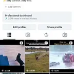 Wild Animal Instagram Account | Secure Transfer | OG Email |0rganic Followers |
