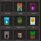 Java &Bedrock Experience cape + 7 Other Random capesFull Access Minecraft Account