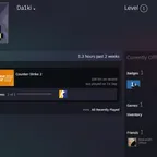 CS1304 // CCS117 / / CS2 Prime+18000 cs rating+the maximum was 25000+full access