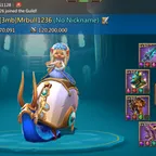 T5 Max Migrate to 1331 - 834M Mights- ATK MIX 423 | 443 |  431 - CASTLE SKINS (3) - 6B RSS - Alots items in the bags