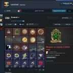 CS1044 /// / / CS2 Prime 8 Medals 22-26 Year 1,313 Hours 5 Years Service 26 games + 15 LVL / / /