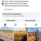 3.3K  Animal & Wildlife| Secure Transfer | OG Email |0rganic Followers |