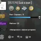 CS1762 // / Counter-Strike 2 526 h / / / / RATING 19638 + 4 MEDALS / / / / 75 GAMES / /