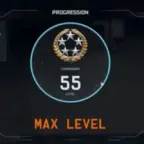 Level 55 