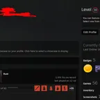 RT1038 // 162 SKINS/ / NATIVE MAIL 10 LVL Steam 1500hours