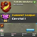 Level 17 clan || crystal 1 || clan capital 5 || warlog 289-183 || name - turan ordusu