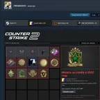 CS1179 // / / / CS 2 | Prime 9 MEDALS + 2 GREEN + 21-24g 2959 HOURS 8 YEARS OF SERVICE / / / /