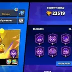 TROPHY[23519],BRAWLER-82(SKIN+170) AUTOMATIC DELIVERY&